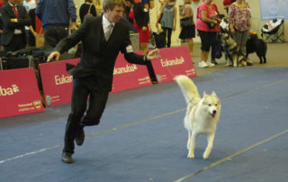 CACIB Tulln 2016